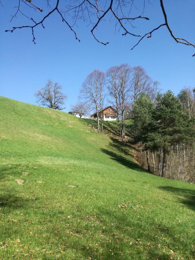Ferienwohnung Marte Viktorsberg Luaran gambar